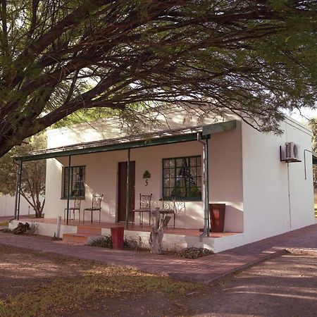 Olive Grove Guest Farm Villa Beaufort Wes Buitenkant foto