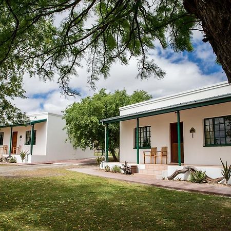 Olive Grove Guest Farm Villa Beaufort Wes Buitenkant foto