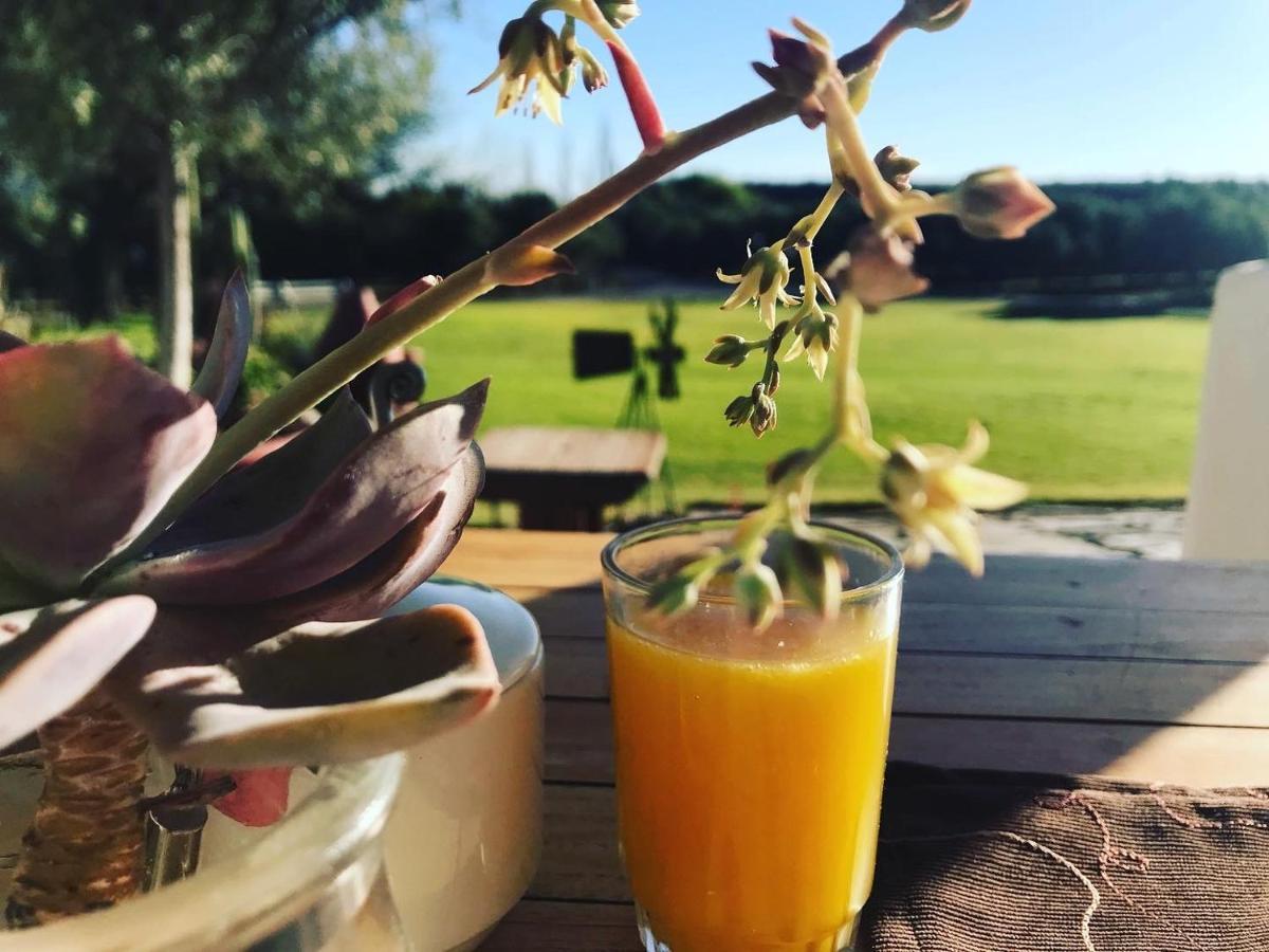 Olive Grove Guest Farm Villa Beaufort Wes Buitenkant foto