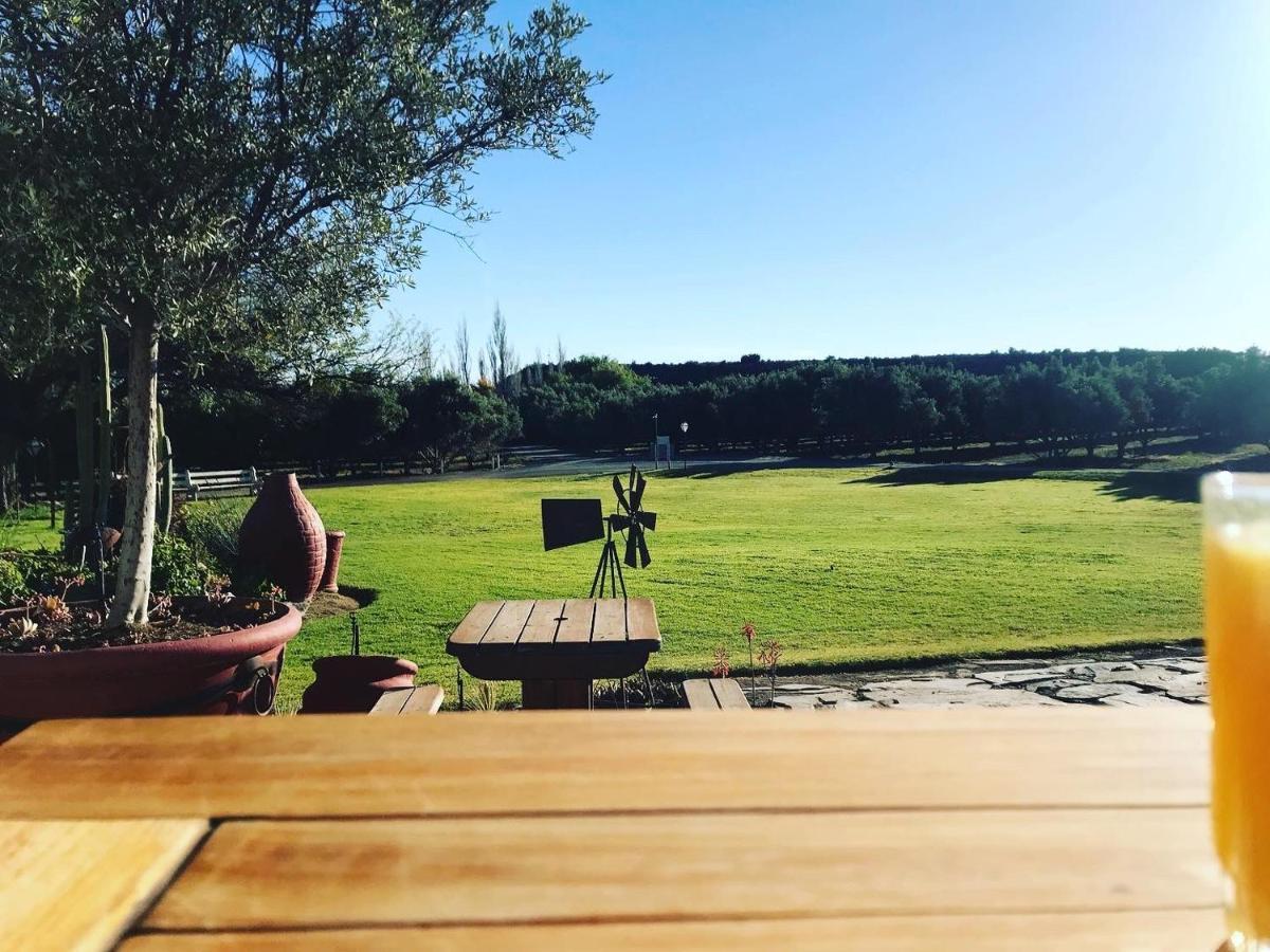 Olive Grove Guest Farm Villa Beaufort Wes Buitenkant foto