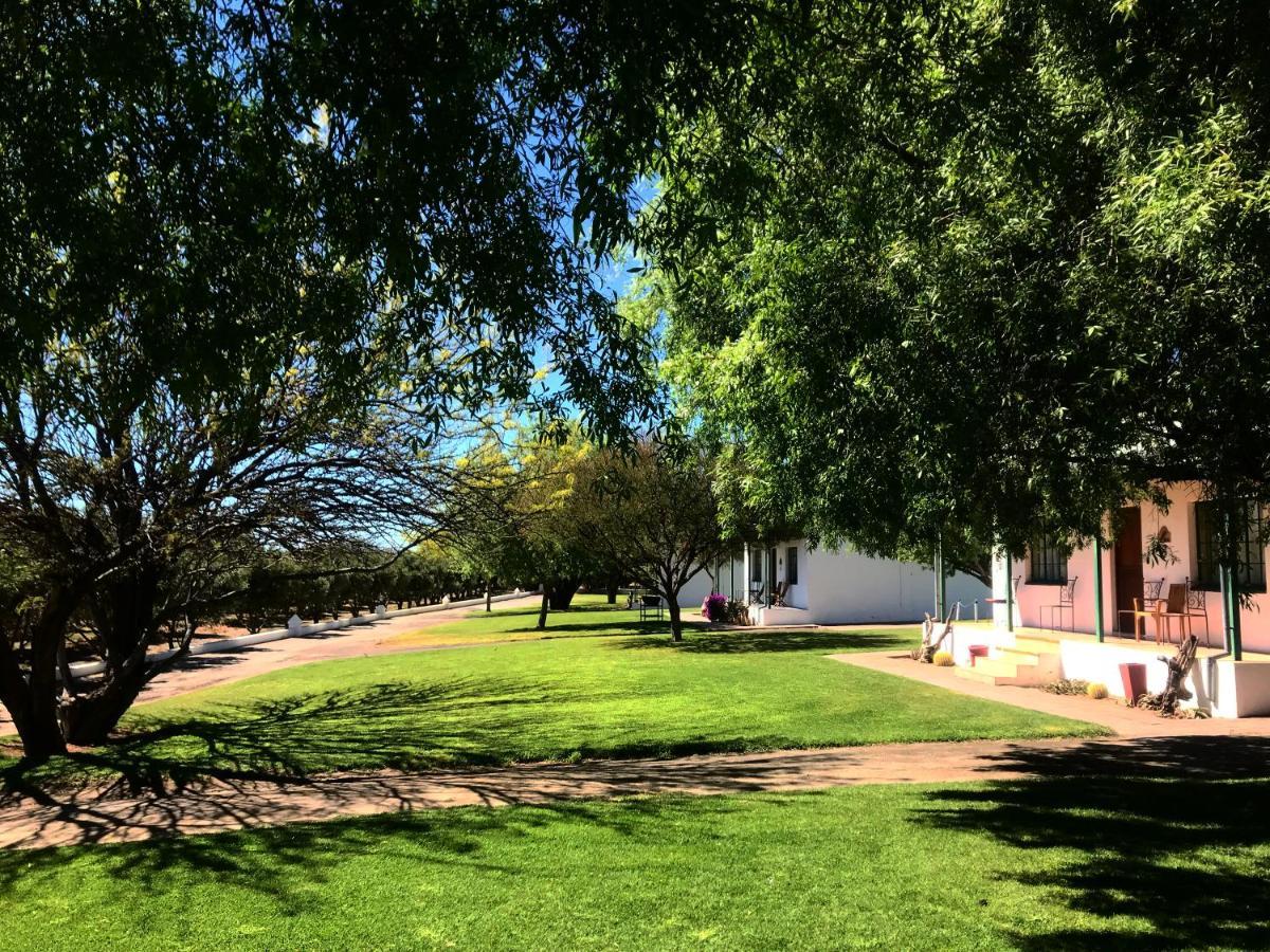 Olive Grove Guest Farm Villa Beaufort Wes Buitenkant foto