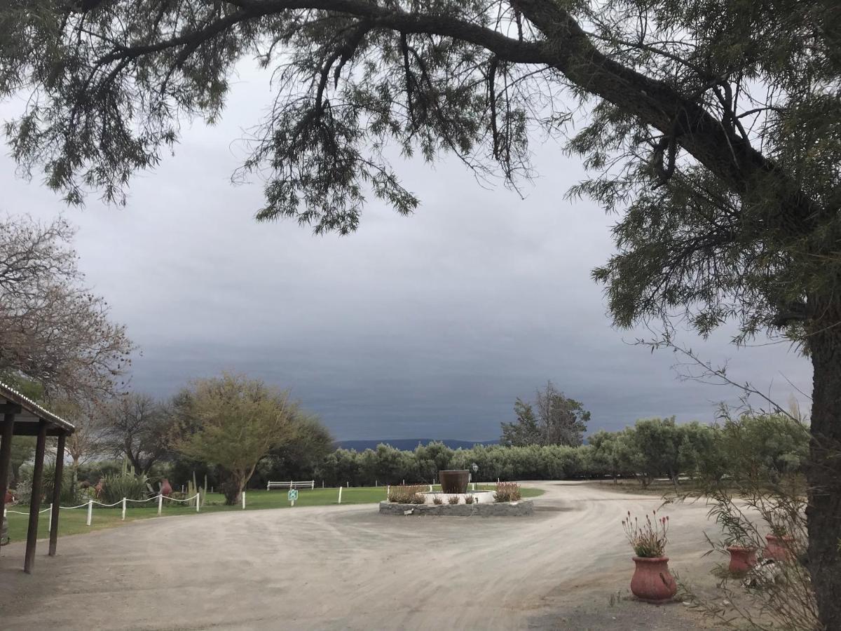 Olive Grove Guest Farm Villa Beaufort Wes Buitenkant foto
