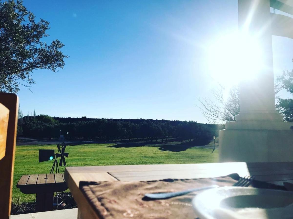 Olive Grove Guest Farm Villa Beaufort Wes Buitenkant foto
