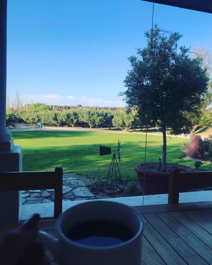 Olive Grove Guest Farm Villa Beaufort Wes Buitenkant foto