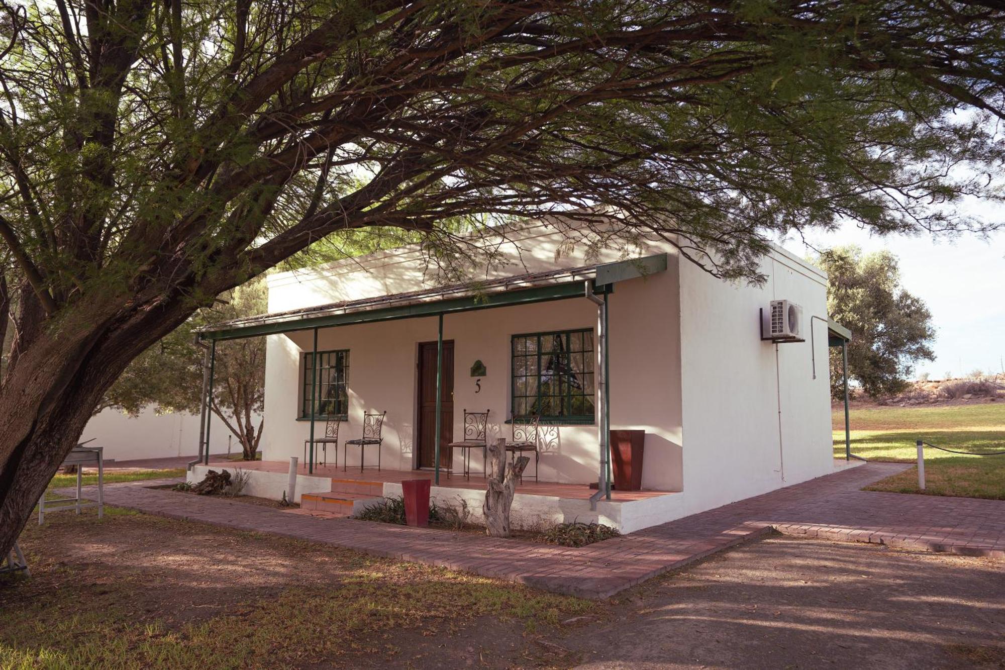 Olive Grove Guest Farm Villa Beaufort Wes Buitenkant foto