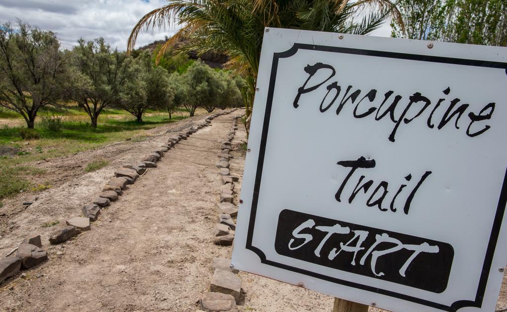 Olive Grove Guest Farm Villa Beaufort Wes Buitenkant foto