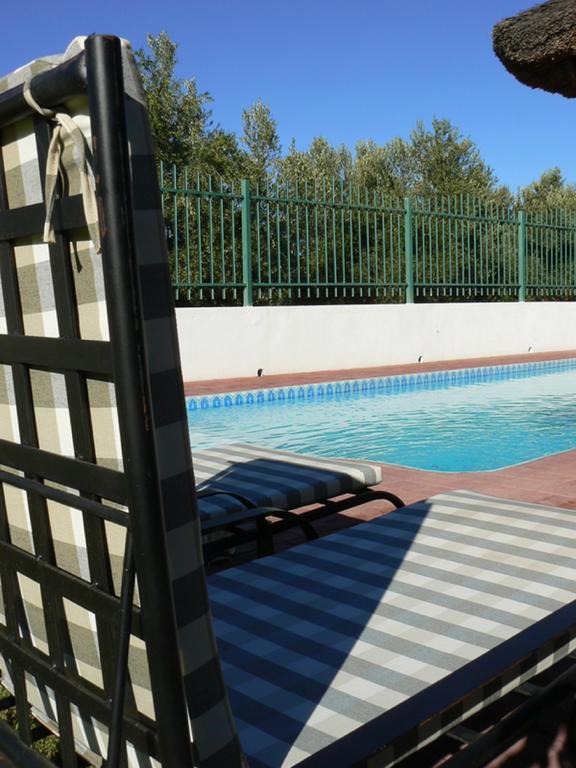 Olive Grove Guest Farm Villa Beaufort Wes Buitenkant foto