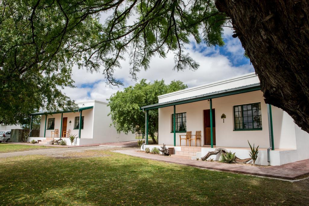 Olive Grove Guest Farm Villa Beaufort Wes Buitenkant foto
