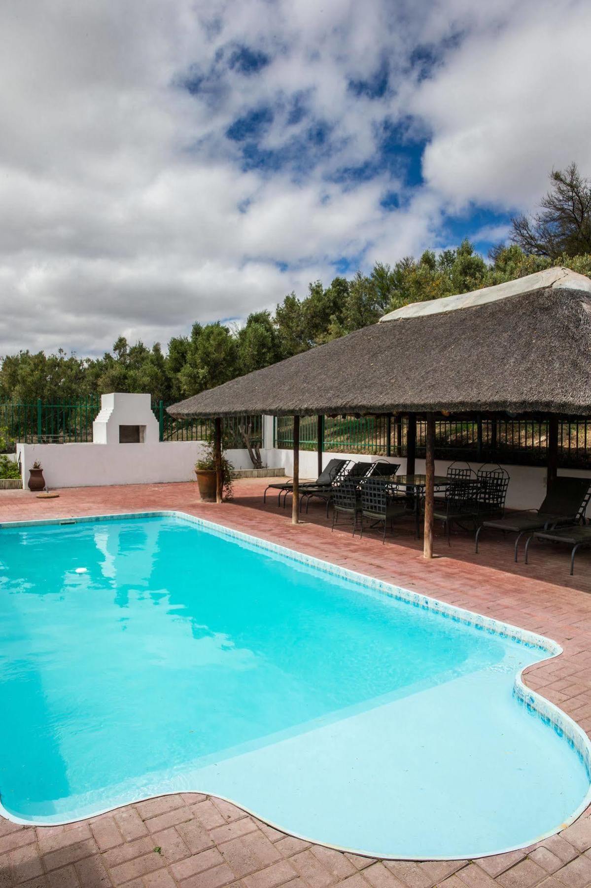 Olive Grove Guest Farm Villa Beaufort Wes Buitenkant foto