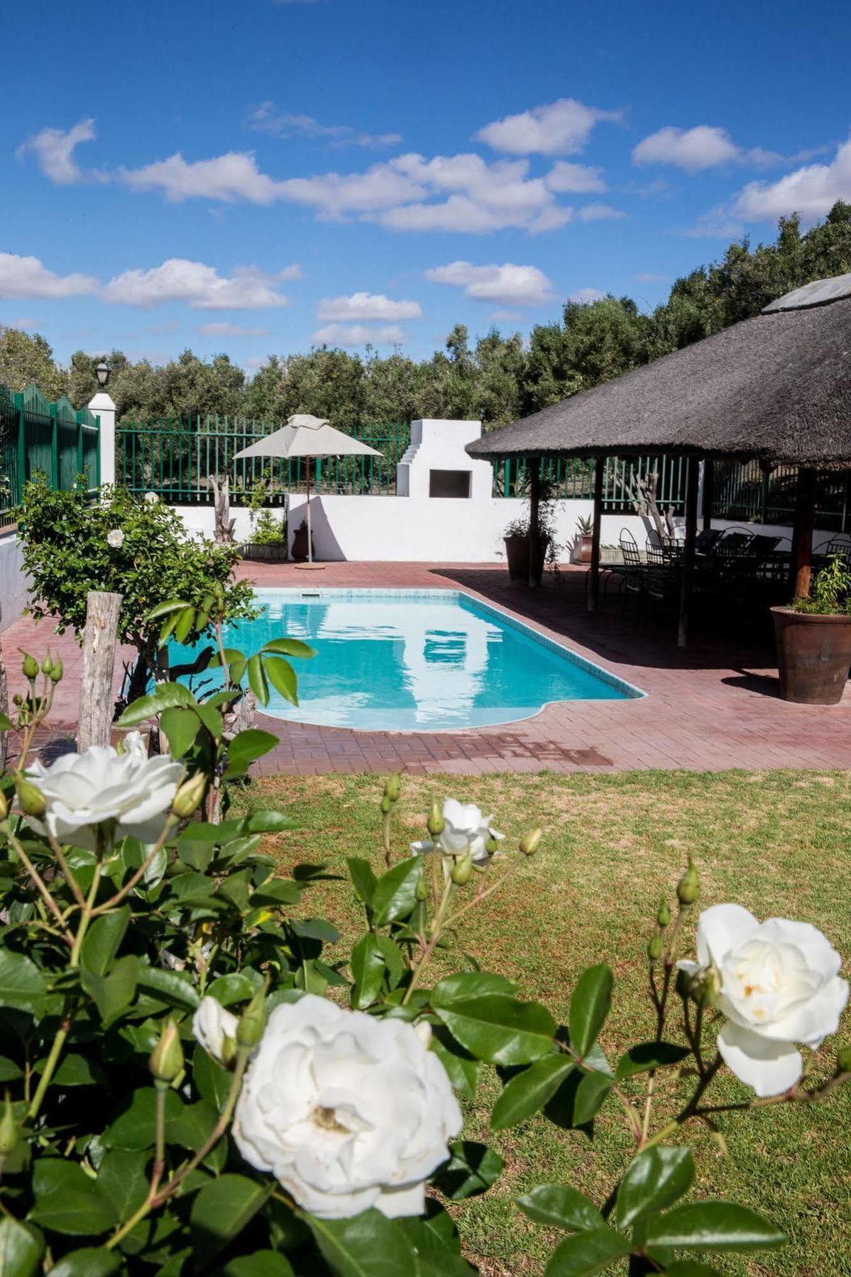 Olive Grove Guest Farm Villa Beaufort Wes Buitenkant foto