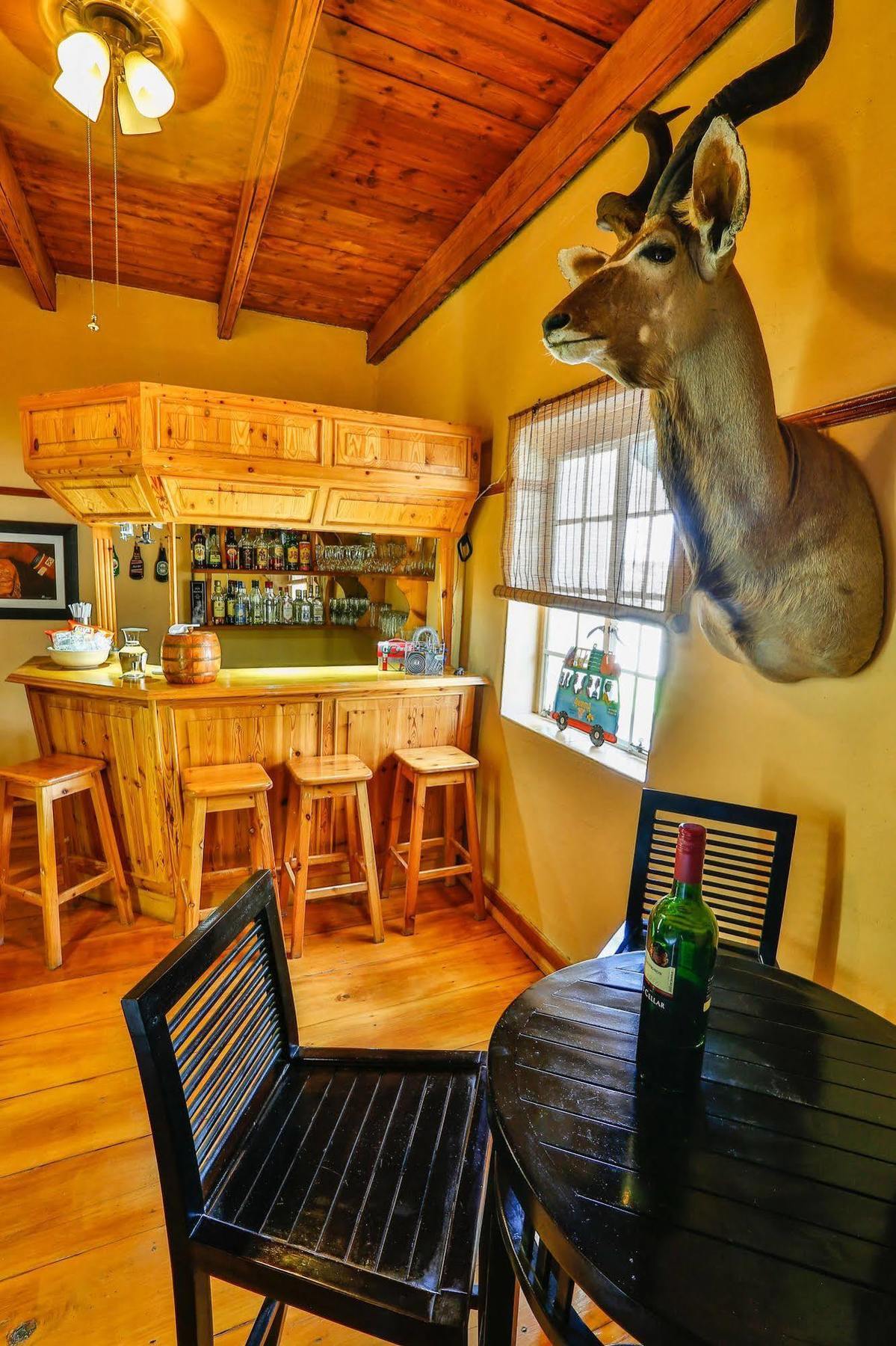 Olive Grove Guest Farm Villa Beaufort Wes Buitenkant foto