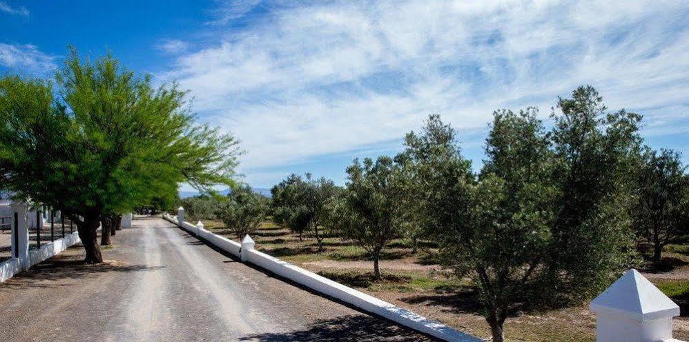 Olive Grove Guest Farm Villa Beaufort Wes Buitenkant foto